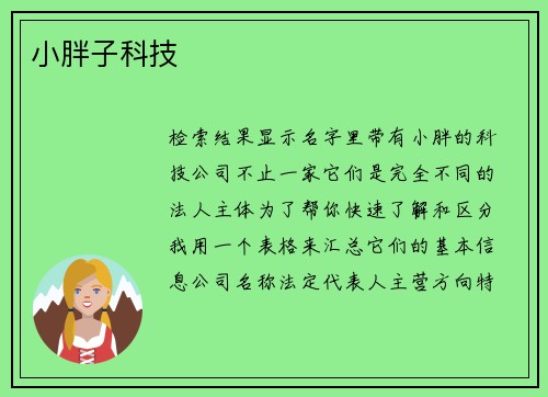 小胖子科技