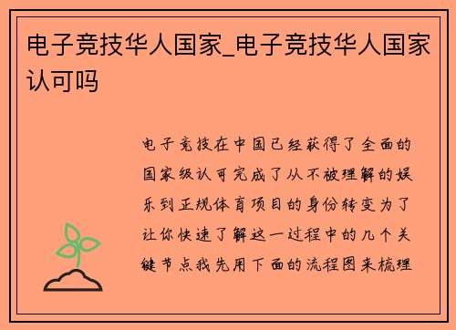 电子竞技华人国家_电子竞技华人国家认可吗